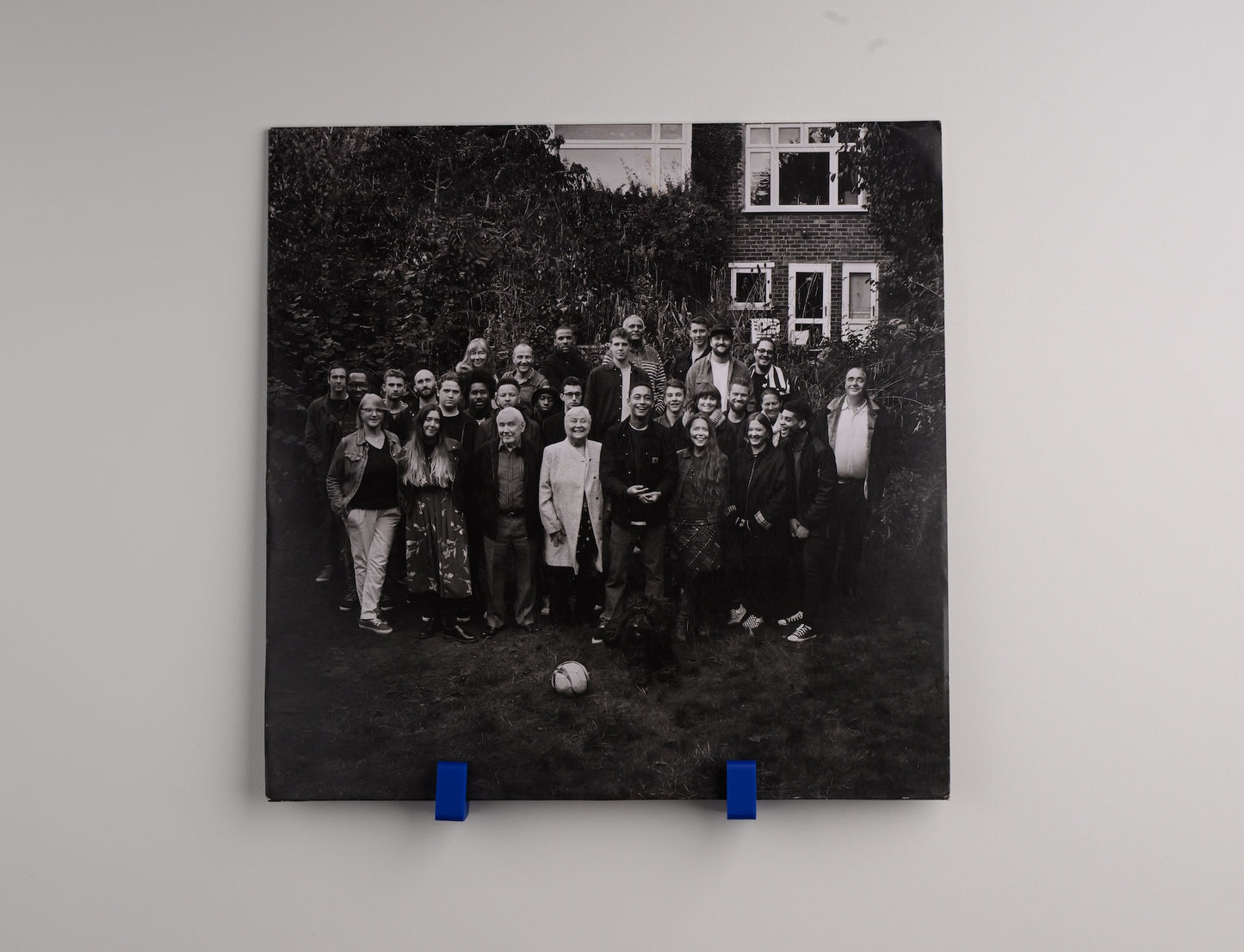 wall hooks 5-pack - royal blue